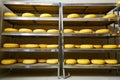 Cheese factory warehouse with shelves of product Royalty Free Stock Photo