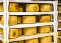 Cheese factory warehouse with shelves stacked with cheese Royalty Free Stock Photo