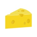 Cheese flat icon