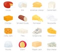 Cheese Flat Icon Set vector illustration