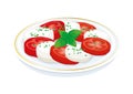 Caprese salad with mozzarella and tomato vector illustration Royalty Free Stock Photo