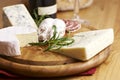 Cheese and French Salami Royalty Free Stock Photo