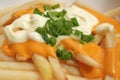 Cheese Fries with Sauce, Mayonaise and Spring Onio