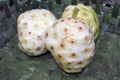 Cheese fruit Noni fruit in Rarotonga Cook Islands