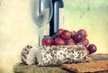 Cheese, grape and wine - retro style Royalty Free Stock Photo