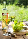 Cheese, grapes and two glasses of the white wine Royalty Free Stock Photo