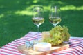 Cheese, grapes and white wine Royalty Free Stock Photo