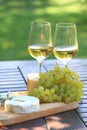 Cheese, grapes and white wine Royalty Free Stock Photo