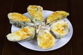 Cheese grilled oyster on dish with dark background