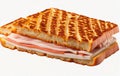 Cheese and ham toasted panini melt Isolated on transparent background Royalty Free Stock Photo