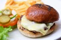 Cheese hamburger Royalty Free Stock Photo
