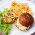 Cheese hamburger Royalty Free Stock Photo