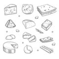 Cheese hand drawn. Milk farm tasty organic healthy product gourmet cuisine sliced cheese vector collection
