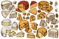 Cheese hand drawn vector illustrations collection. Colored brie, gouda cheese, roquefort, etc.