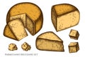 Cheese hand drawn vector illustrations collection. Colored parmigiano reggiano.