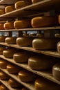 Cheese heads maturing on rack in factory warehouse. Many dutch cheeses on shelves.