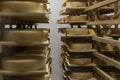 Cheese heads on wooden shelves in a cheese dairy storage. Close-up Royalty Free Stock Photo