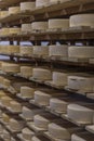 Cheese heads on wooden shelves in a cheese dairy storage. Close-up. Vertical