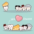 Cheese is healthy for tooth