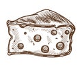 Cheese with holes isolated sketch diary product food