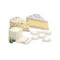 Cheese illustrations. Various type of cheese. Brie, Gorgonzolla, Roquefort, Feta and Mozzarell cheese.