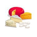 Cheese illustrations. Various type of cheese.