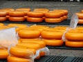 Cheese from the Kaasmarkt in the Dutch town of Alkmaar, the city with its famous cheese market Royalty Free Stock Photo