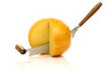 Cheese knife with Dutch Edam cheese