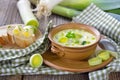 Cheese and leek soup Royalty Free Stock Photo