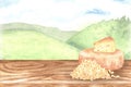 Cheese lies on the table against the background of green hills. Head, piece and pile of grated cheese. Watercolor