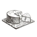 Cheese lies on a wooden cutting board. Vector retro illustration.