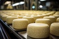 Cheese making at the dairy factory