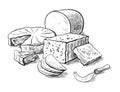 Cheese making various types of cheese set of vector sketches