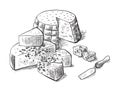 Cheese making various types of cheese set of vector sketches