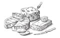 Cheese making various types of cheese set of vector sketches