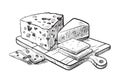 Cheese making various types of cheese set of vector sketches