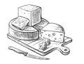 Cheese making various types of cheese set of vector sketches