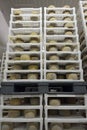 Cheese maturing in a dairy