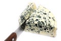 Cheese with mildew Royalty Free Stock Photo