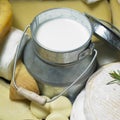 Cheese and milk Royalty Free Stock Photo