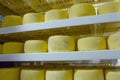 Cheese with mold ripens until cooked. Cheese aging in the basement of a cheese factory on a farm. The concept of business in