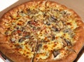 cheese mushroom meat pizza box