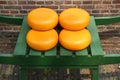 Cheese in Netherlands Royalty Free Stock Photo