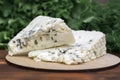 cheese with noble blue mold close-up on a background of greens