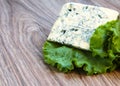 Cheese with a noble mold with lettuce leaves