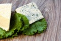 Cheese with a noble mold with lettuce leaves