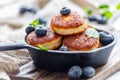 Cheese pancakes and blueberries in cast iron pan Royalty Free Stock Photo