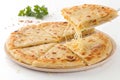 Cheese Paratha Ã¢â¬\' Savory Stuffed Flatbread on White Background Royalty Free Stock Photo