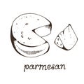 Cheese parmesan hand drawn vector illustration
