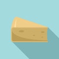 Cheese parmesan icon, flat style